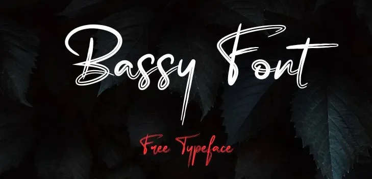 Bassy Font