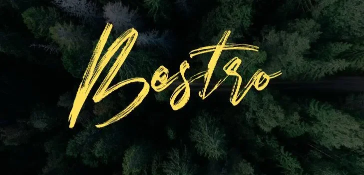 Bestro Font